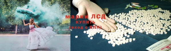 прущие грибы Белоозёрский
