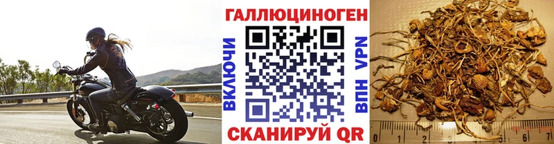 Псилоцибиновые грибы мицелий  закладки  Городище 